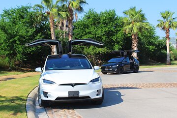 Los Cabos Luxury Private Tesla Transfer from Airport to Cabo San Lucas Area