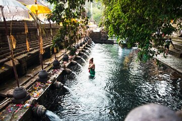 Private Shore Excursion: Highlights of Bali