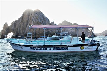  Glass Bottom Boat Sightseeing Tour in Cabo San Lucas