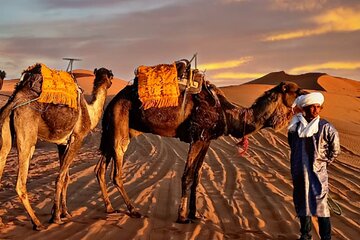 merzouga luxruy camp 