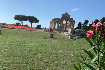 Paestum Private Tour from Naples