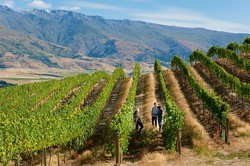 Exclusive Central Otago Wine Tour - Departs Queenstown