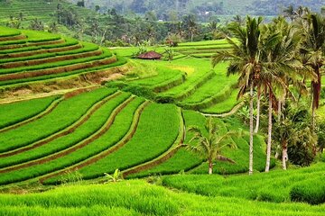 Bali UNESCO Sites: Private Guided Full-Day Tour