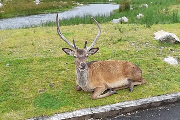 Fort William and Glencoe