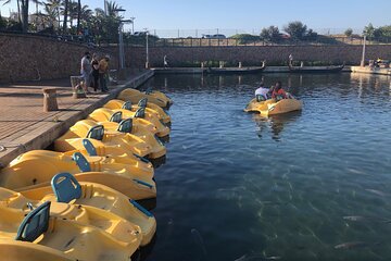 Pedal Boat Rides on Durban Point Waterfront Canals