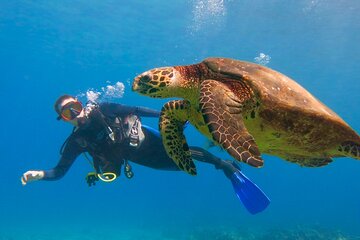 Beginner Scuba Dive in Lahaina (swimming ability required)