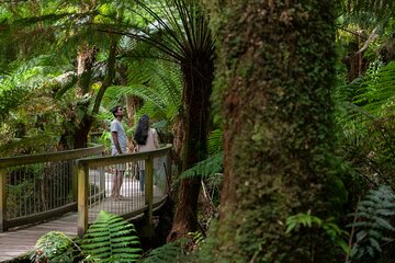 Great Ocean Road Grampians 3 Day National Park Tour Melbourne Roundtrip