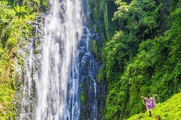7 Day: Wildlife Adventure Plus Materuni Waterfalls