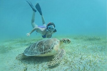 Snorkeling Tour to Vieques Island