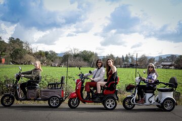 3 hr Guided Wine Country Tour in Sonoma on Electric Trike