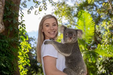 Currumbin Wildlife Sanctuary General Entry Ticket