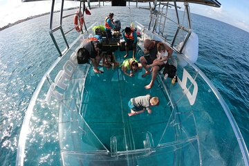 Invisible Boat Snorkeling Adventure in Cozumel