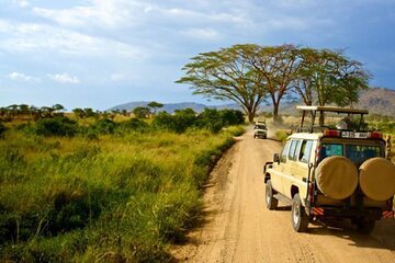3 Days Serengeti and Ngorongoro Crater Safari