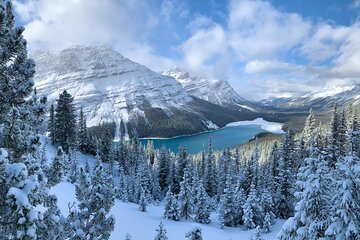 Private Tour for up to 24 guests of Lake Louise and the Icefield Parkway