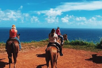 Maui Horseback Adventure at Circle M Ranch With Real Cowboys!