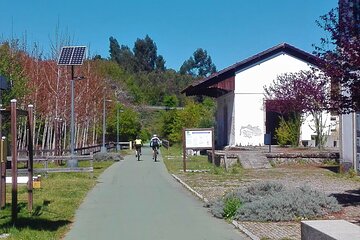 Cycling Ecopista do Dão One Way, full-day from Coimbra