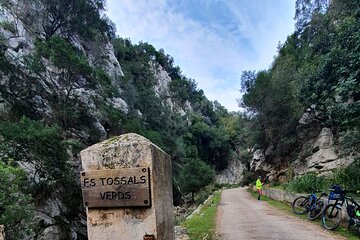 Half-Day Mountain Bike Experience to Serra de Tramuntana,