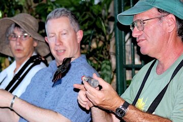 Rocklands Bird Sanctuary and Montego Bay Highlights Tour from Falmouth