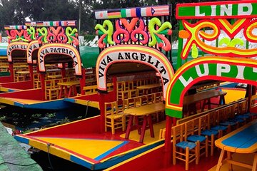 Visit to Xochimilco, Coyoacán and Ciudad Universitaria