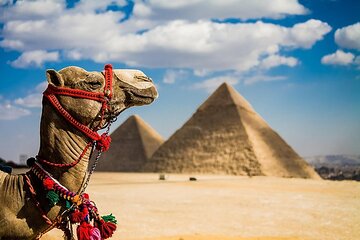 6 Days Cairo & Alexandria Tour