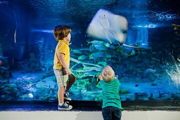 SEA LIFE Orlando Aquarium