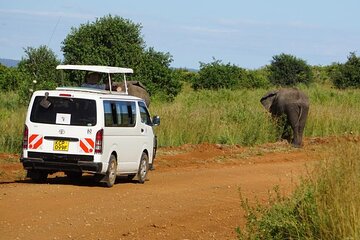 3 Days Maasai Mara Guided Safari from Nairobi