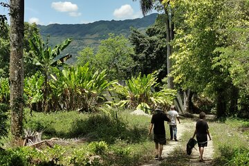 Taino Valley Tropical Park Puerto Plata Tubagua