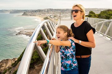 Newcastle Scenic Explorer - 2 hour Tour by Minibus