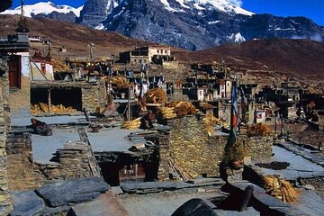 Explore the Hidden Gems of Nepal: A Nar Phu Valley Trek Adventure