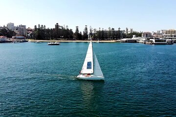 Learn to Sail on Sydney Harbour: Australian Sailing Start Crewing 