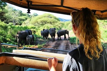 8-Day Tanzania Private Safari Tour with Airport Pickup
