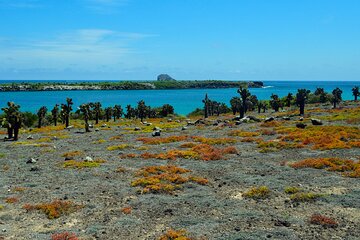 4-Day Wildlife Tour in Santa Cruz Island