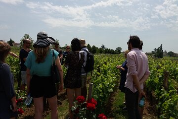 Saint Emilion Wine Tour Half Day