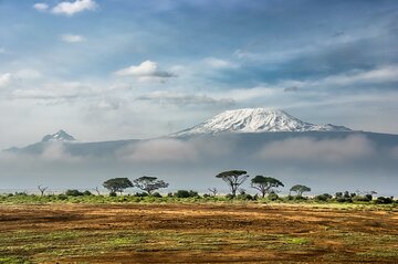 Private Kilimanjaro Day Trip from Moshi.