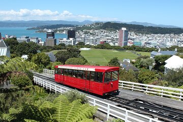 Wellington Scenic Full Day Tour