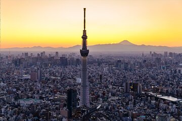 Tokyo Skytree Admission Ticket with Tembo Deck and Galleria