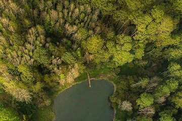 Visit The National Park Las Victorias On a Half-Day Tour From Cobán