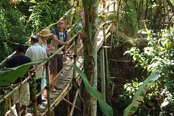 An Eco-Walk through Green Bali