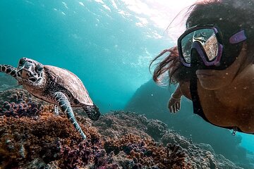 Snorkeling Tour in Caño Island with Lunch