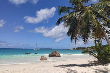 Private Vallee De Mai and Anse Lazio Tour 