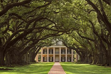 Swamp Boat Ride and Oak Alley Plantation Tour from New Orleans