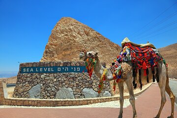 Full-Day Masada and Dead Sea from Tel Aviv