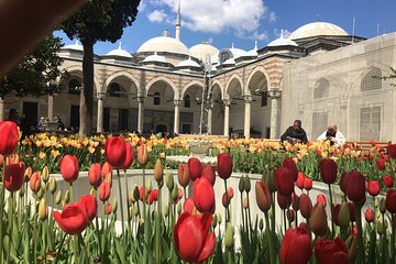 Private Istanbul Old City Walking Tour