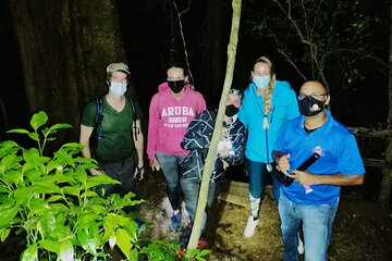 Kinkajou Night Walk Tour