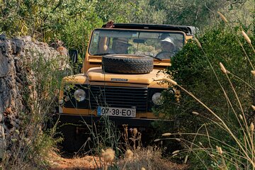 Full Day Private Safari in Algarve