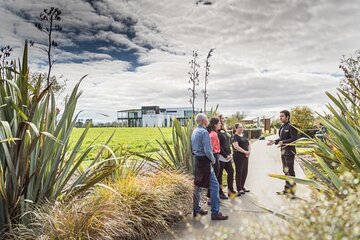 Private tour from Auckland - Waitomo Glowworm Caves, Zealong Tea & Kiwi Bird