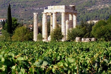 Ancient Nemea Private Full-Day Tour from Athens with Wine Tasting