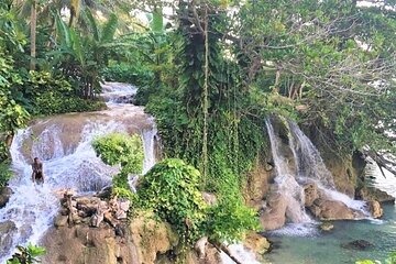 Dunn's Falls Half-Day Tour from Runaway Bay