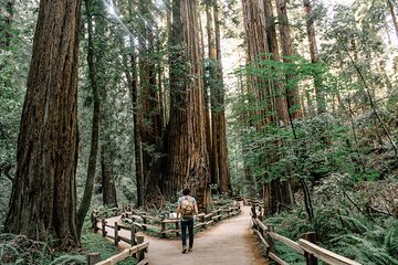 Small Group: SF, Muir Woods and Sausalito + Optional Alcatraz