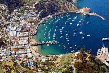 Catalina Island w/Discover Avalon Scenic Tour & Hotel transfers